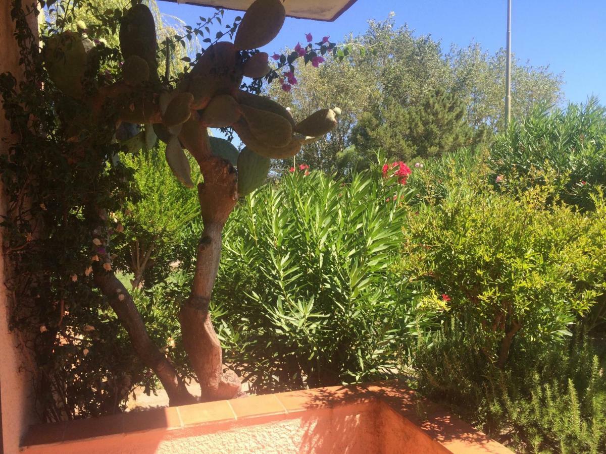 Bilocali Residenza Mediterranea Cannigione Buitenkant foto